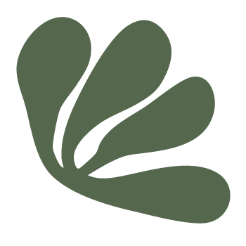 psico_icon