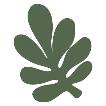 psico_icon